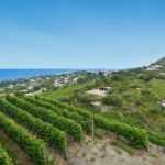 gallery-tenuta-cest-la-vie-forio-ischia-wine-resort-bistrot-camere_04